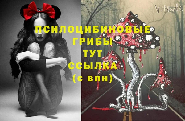 2c-b Волоколамск
