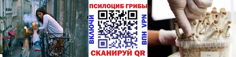 Псилоцибиновые грибы ЛСД  Пестово 