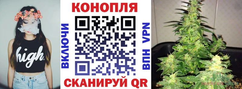 где продают наркотики Пестово МАРИХУАНА Amnesia